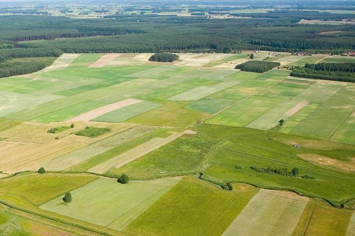 Leśnicy&#x20;prowadzą&#x20;nadzór&#x20;również&#x20;nad&#x20;lasami&#x20;niepaństwowymi&#x2e;