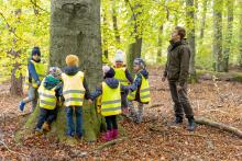 Jesienna leśna edukacja