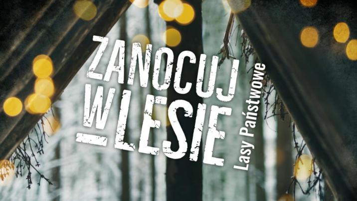 Zanocuj&#x20;w&#x20;lesie